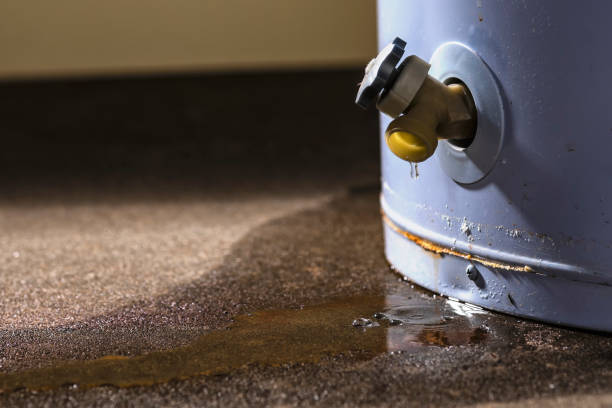 Best Commercial water damage restoration  in USA